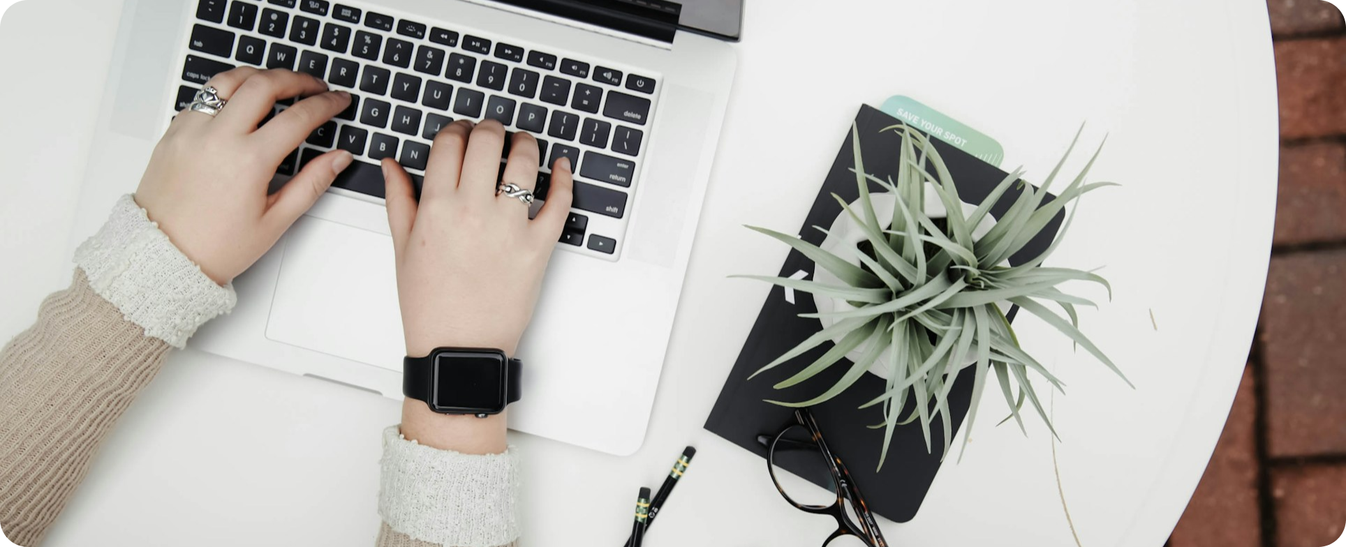 Working on laptop with plant